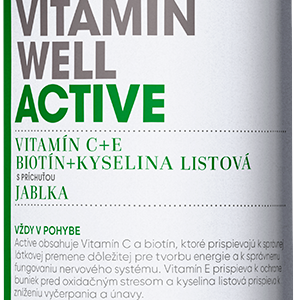 Vitamin Well (Z)  ACTIVE 500ml /12ks/